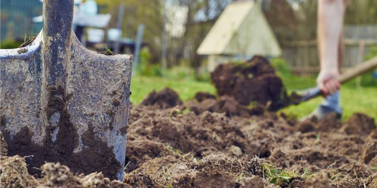 Guida Ferramenta: Preparare l’orto autunnale dall’estate