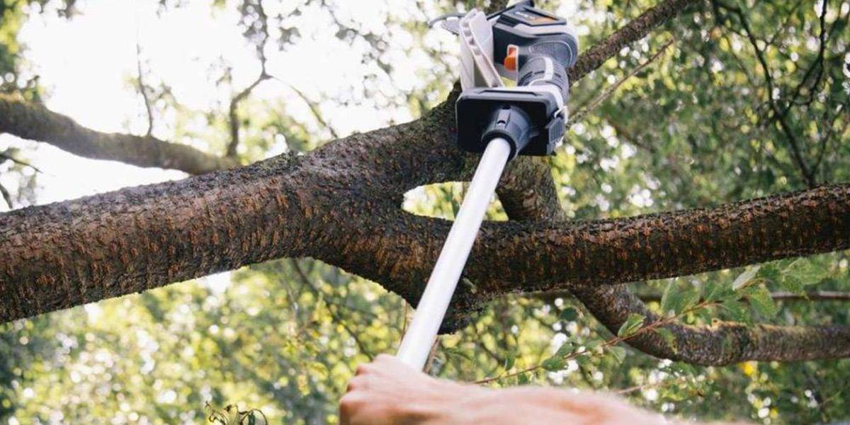 I migliori strumenti per sistemare il tuo giardino i migliori potatori di altezza da giardino