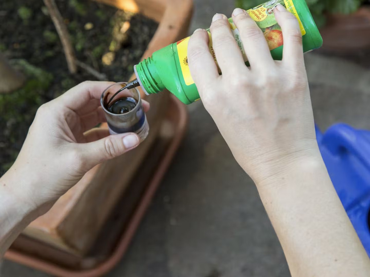 Guida all’Acquisto di Fertilizzanti Liquidi: Come Scegliere i Migliori in 10 Semplici Passaggi