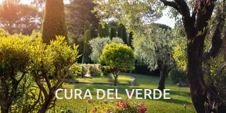 Cura del verde