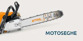 Motoseghe