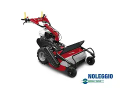 Noleggio Handhäcksler TT783 GINKO - VERMIETUNG
