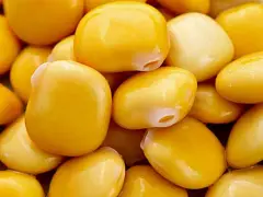 Franchi sementi Saatgut Weißer Lupine - Franchi Sementi