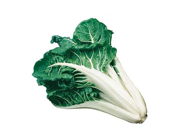 Franchi Semilla de acelga verde con penca blanca - Franchi