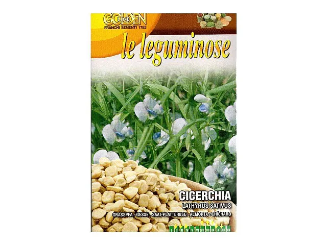 Franchi sementi Saatgut der Platterbse LATHYRUS SATIVUS