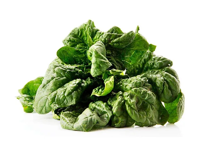 Royal seeds Spinatsamen Matador - Royal Seeds