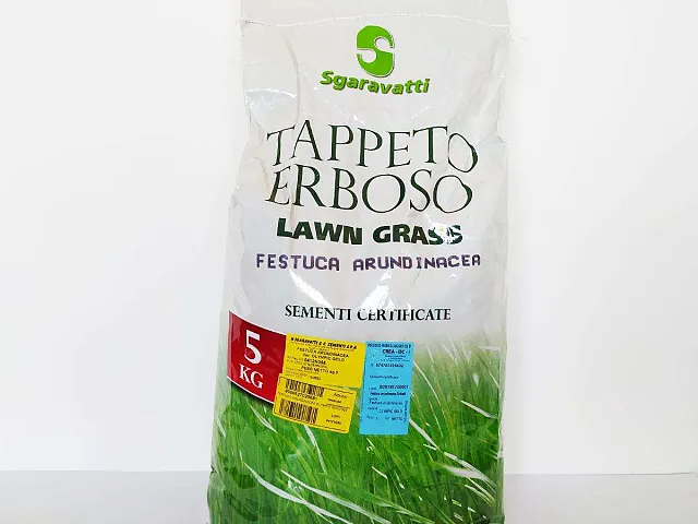 Sgaravatti Seme per prato Festuca Arundinacea