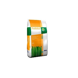 Icl Seme per prato Lolium Perenne Renovator - ICL