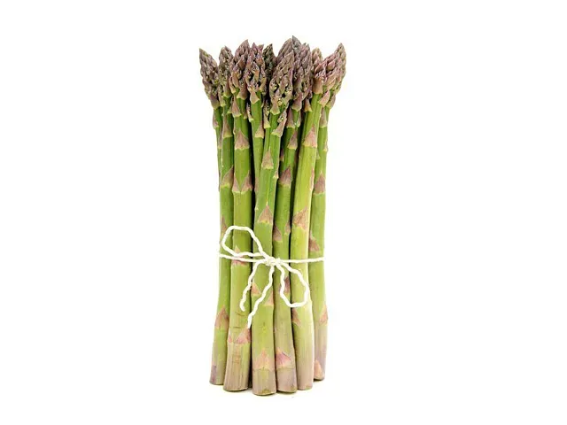 Franchi Semilla de espárrago Argenteuil - Franchi
