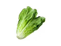 Franchi Semilla de lechuga romana rubia de los hortelanos - Franchi