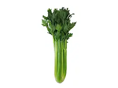 Franchi Semilla de apio verde - Franchi