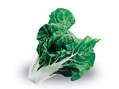 Royal seeds Saatgut Mangold Weißer Stiel 2 - Royal Seeds