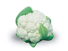 Franchi Semilla de coliflor bola de nieve - Franchi