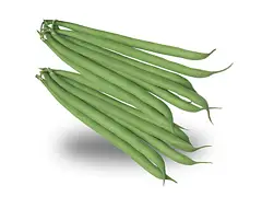 Royal seeds Semilla de judía trepadora Blue Lake a Grano Blanco - Royal Seeds