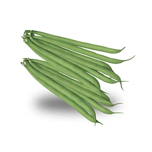 Royal seeds Seme di fagiolino rampicante Blue Lake a Grano Bianco - Royal Seeds