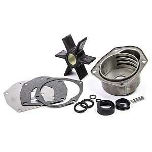 Sborgia kit motor pump viva
