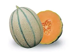 Franchi Semilla de melón reticulado de los hortelanos - Franchi