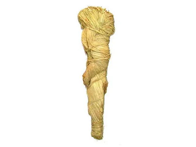 Sborgia Tresse en raphia naturel