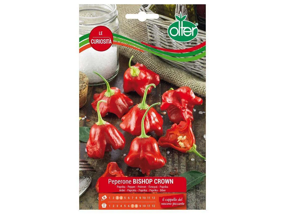 30 Semi Di Peperoncino Vescovo (Bishop's Crown) | Varietà Ornamentale Rossa A Forma Di Campana Natalizia