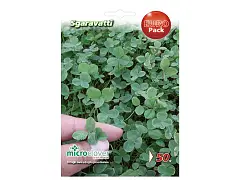 Sgaravatti Semilla para césped de trébol enano de hoja muy pequeña - Sgaravatti