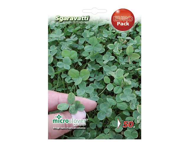 Sgaravatti Seed for dwarf clover lawn with very small leaves - Sgaravatti