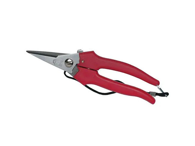 Coltellerie paolucci Tijeras para flores Quadrifoglio - Coltellerie Paolucci
