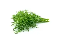Franchi Semilla de eneldo - Franchi