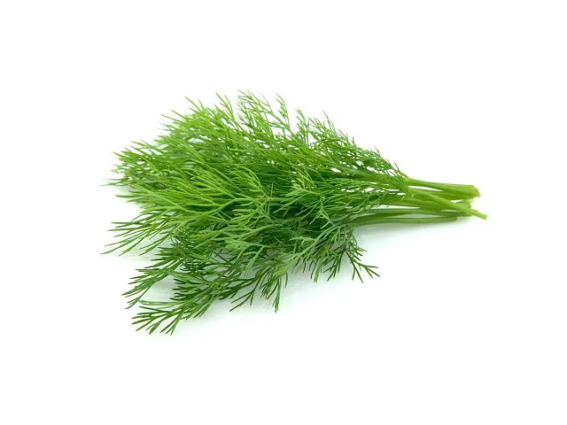 Franchi Semilla de eneldo - Franchi