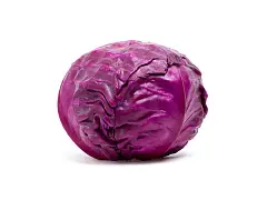 Franchi Semilla de col lombarda Testa Nera - Franchi