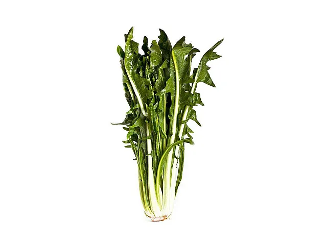 Franchi Seme di cicoria catalogna pugliese - Franchi