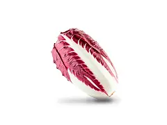 Franchi Semilla de achicoria roja de Treviso - Franchi