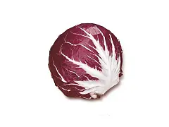 Franchi Semilla de achicoria roja de Verona - Franchi