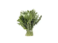 Sgaravatti Semilla de achicoria silvestre de campo - Sgaravatti