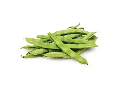 Royal seeds Semilla de frijol enano Coco Nain Blanc Precoce - Royal Seeds