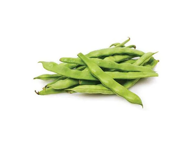 Royal seeds Samen der Buschbohne Coco Nain Blanc Precoce - Royal Seeds