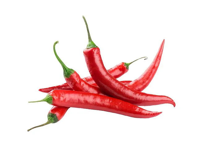 Sgaravatti Samen der scharfen Cayenne-Chili - Sgaravatti