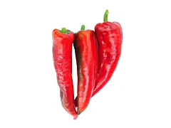 Sgaravatti Semilla de pimiento Cuerno de Toro Rojo - Sgaravatti