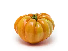 Sgaravatti Semilla de tomate Ponderosa - Belmonte - Sgaravatti