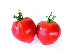 Franchi Semilla de tomate corazón de buey - Franchi