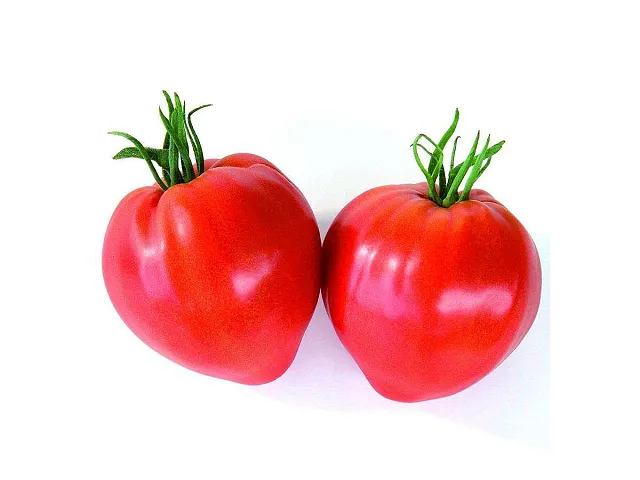 Franchi Semilla de tomate corazón de buey - Franchi