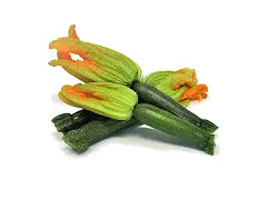 Franchi Semilla de calabacín Romanesco - Franchi
