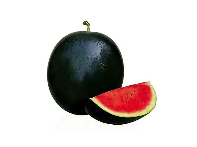 Royal sluis Wassermelonenkerne Sugar Baby - Royal Sluis