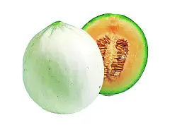 Franchi Semillas de melón trepador azucarado - Franchi