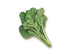 Franchi Semilla de acelga verde para corte - Franchi