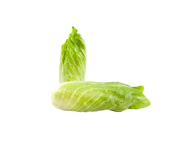 Franchi Zichoriensamen Pan di Zucchero - Franchi