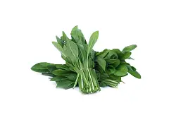 Franchi Semilla de achicoria espadona - Franchi