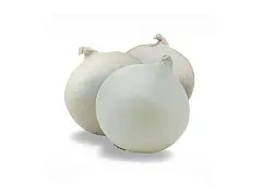 Franchi Semilla de cebolla redonda musona - Franchi