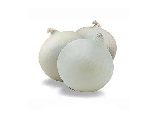 Franchi Semilla de cebolla redonda musona - Franchi