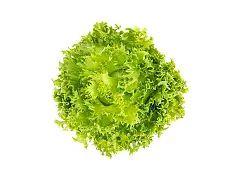 Sgaravatti Semilla de lechuga reina de los hielos - Sgaravatti