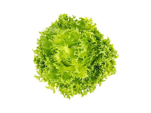 Sgaravatti Eisprinzessinnen-Salat-Samen - Sgaravatti